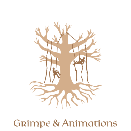 Grimpe d'Arbres et Animations dans les Arbres, Prestation Ogham