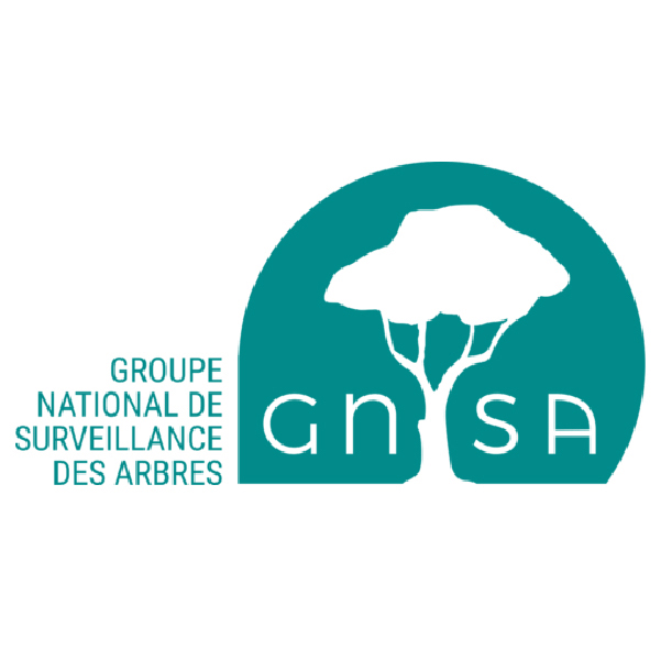 GNSA | Partenaire Ogham